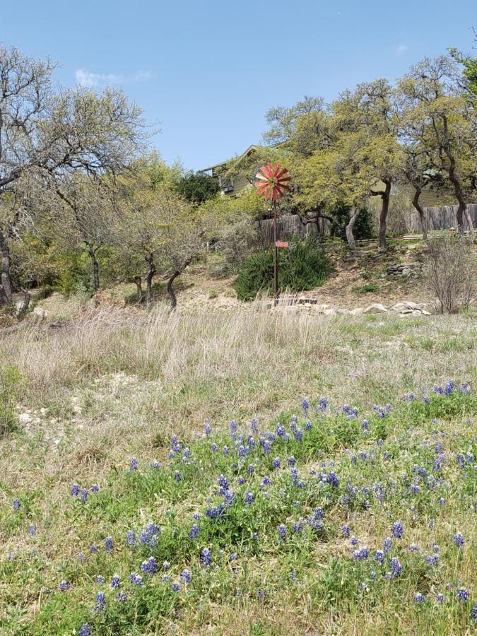 Cabin Sweet Cabin Canyon Lake Luaran gambar